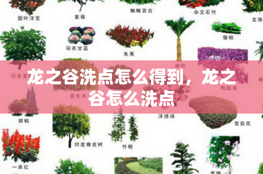龙之谷洗点怎么得到，龙之谷怎么洗点