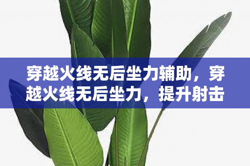 穿越火线无后坐力辅助，穿越火线无后坐力，提升射击精准度的秘密武器