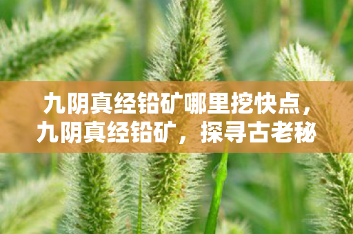 九阴真经铅矿哪里挖快点，九阴真经铅矿，探寻古老秘宝，解锁江湖奇遇
