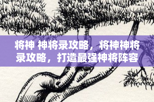 将神 神将录攻略，将神神将录攻略，打造最强神将阵容