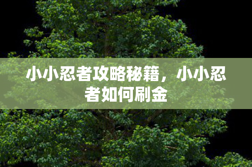 小小忍者攻略秘籍，小小忍者如何刷金