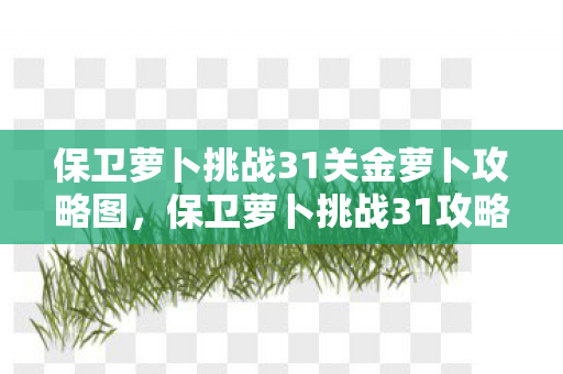 保卫萝卜挑战31关金萝卜攻略图，保卫萝卜挑战31攻略金萝卜布阵图