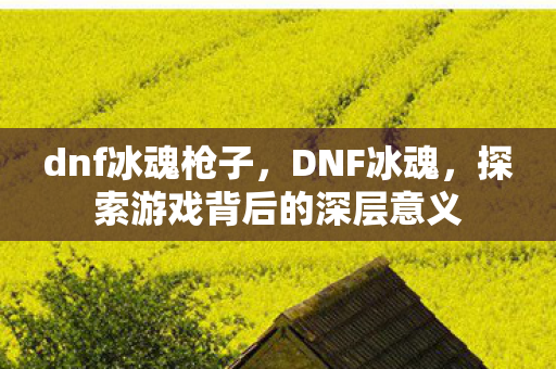 dnf冰魂枪子，DNF冰魂，探索游戏背后的深层意义