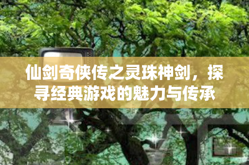 仙剑奇侠传之灵珠神剑，探寻经典游戏的魅力与传承