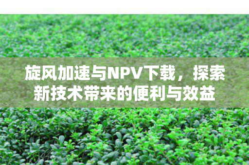 旋风加速与NPV下载，探索新技术带来的便利与效益