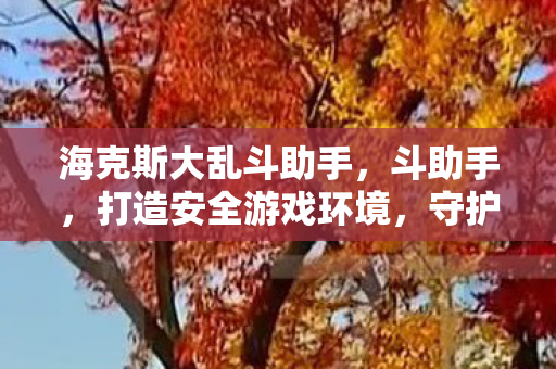 海克斯大乱斗助手，斗助手，打造安全游戏环境，守护玩家权益
