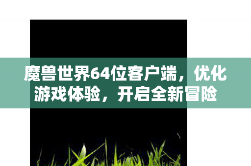 魔兽世界64位客户端，优化游戏体验，开启全新冒险
