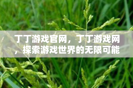 丁丁游戏官网，丁丁游戏网，探索游戏世界的无限可能