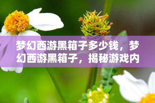 梦幻西游黑箱子多少钱，梦幻西游黑箱子，揭秘游戏内未解之谜与灰色交易