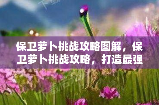 保卫萝卜挑战攻略图解，保卫萝卜挑战攻略，打造最强防御，保卫你的萝卜！