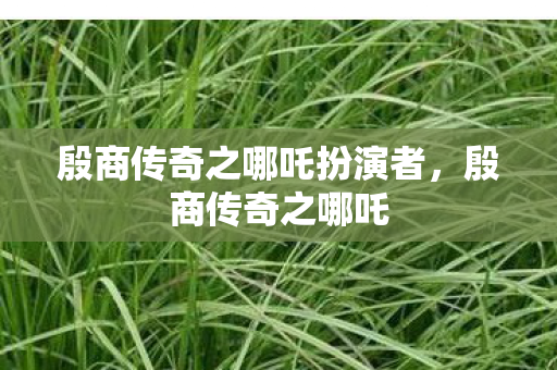 殷商传奇之哪吒扮演者，殷商传奇之哪吒