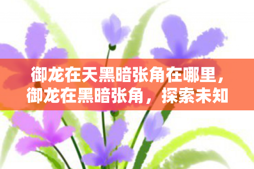御龙在天黑暗张角在哪里，御龙在黑暗张角，探索未知世界的奇幻之旅