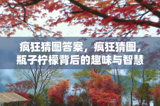 疯狂猜图答案，疯狂猜图，瓶子柠檬背后的趣味与智慧