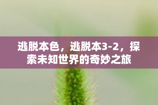 逃脱本色，逃脱本3-2，探索未知世界的奇妙之旅