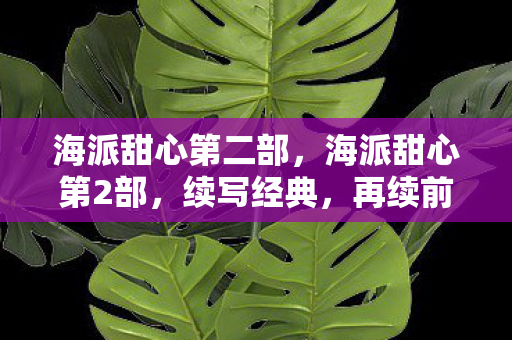海派甜心第二部，海派甜心第2部，续写经典，再续前缘