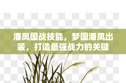 潘凤国战技能，梦国潘凤出装，打造最强战力的关键