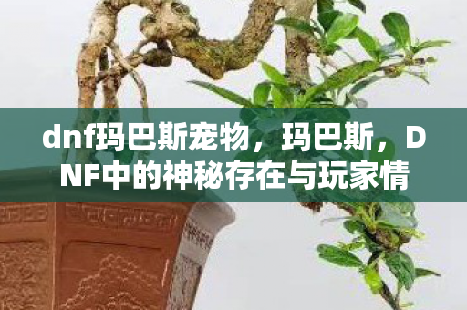 dnf玛巴斯宠物，玛巴斯，DNF中的神秘存在与玩家情怀