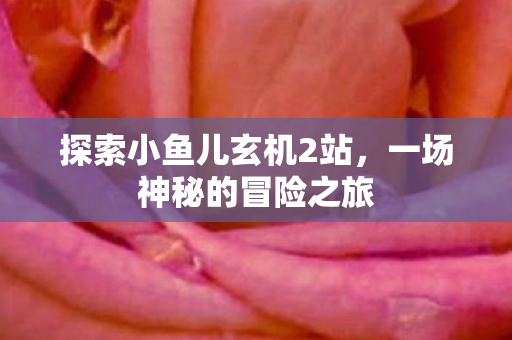 探索小鱼儿玄机2站，一场神秘的冒险之旅