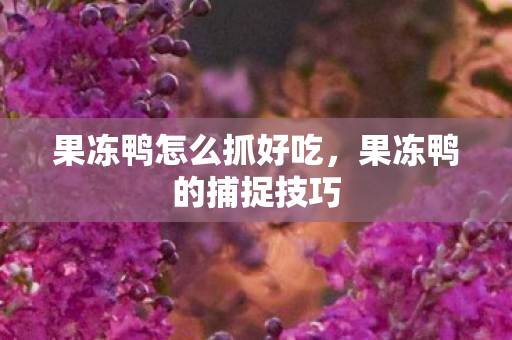 果冻鸭怎么抓好吃，果冻鸭的捕捉技巧