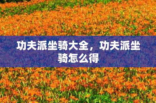 功夫派坐骑大全，功夫派坐骑怎么得