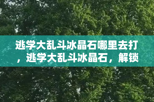 逃学大乱斗冰晶石哪里去打，逃学大乱斗冰晶石，解锁奇幻世界的钥匙