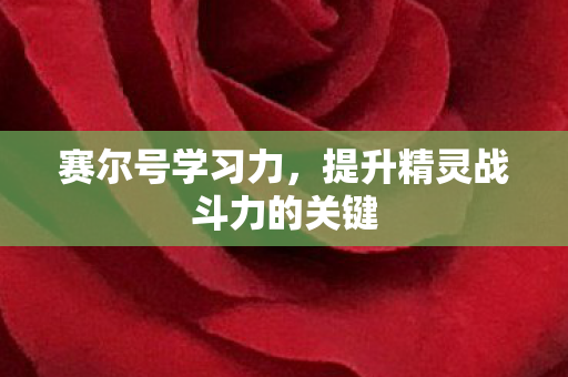 赛尔号学习力，提升精灵战斗力的关键