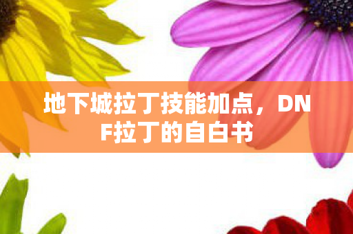 地下城拉丁技能加点，DNF拉丁的自白书