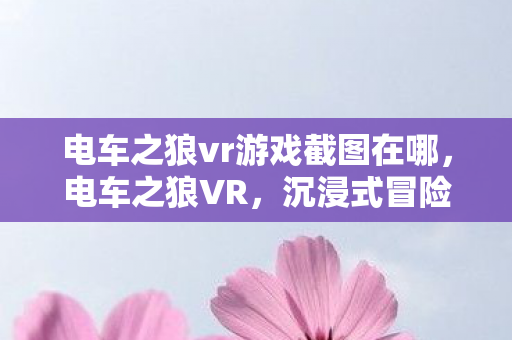 电车之狼vr游戏截图在哪，电车之狼VR，沉浸式冒险的奇幻之旅