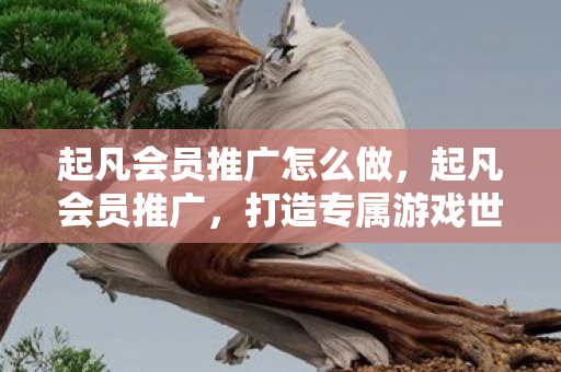 起凡会员推广怎么做，起凡会员推广，打造专属游戏世界，尊享特权服务
