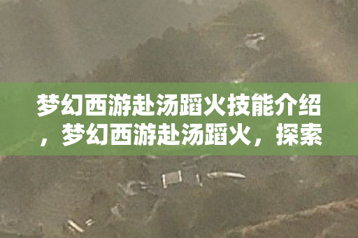 梦幻西游赴汤蹈火技能介绍，梦幻西游赴汤蹈火，探索经典游戏的激情与坚持