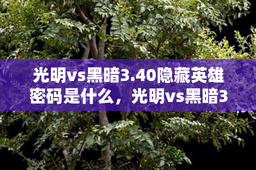 光明vs黑暗3.40隐藏英雄密码是什么，光明vs黑暗3.40隐藏英雄密码，解锁未知力量的神秘钥匙