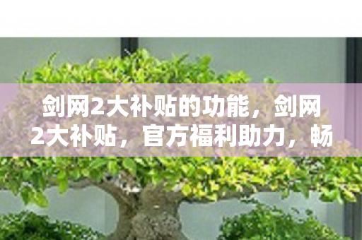 剑网2大补贴的功能，剑网2大补贴，官方福利助力，畅游江湖无忧