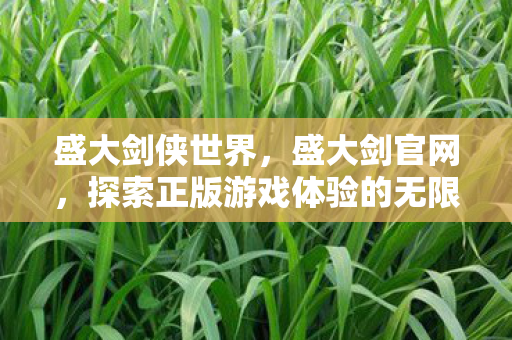 盛大剑侠世界，盛大剑官网，探索正版游戏体验的无限可能