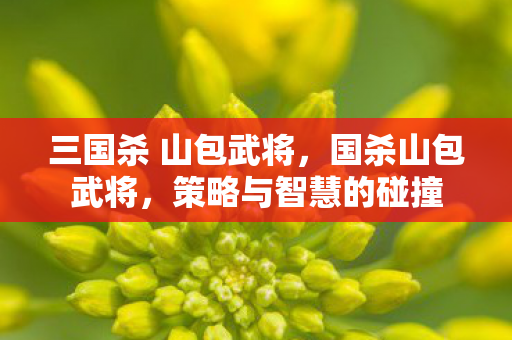 三国杀 山包武将，国杀山包武将，策略与智慧的碰撞
