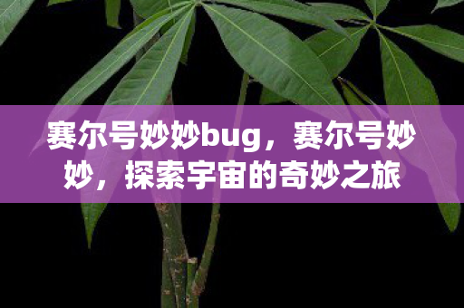 赛尔号妙妙bug，赛尔号妙妙，探索宇宙的奇妙之旅