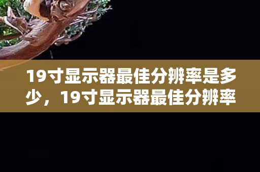19寸显示器最佳分辨率是多少，19寸显示器最佳分辨率，打造清晰视觉体验