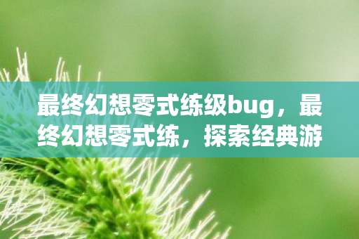 最终幻想零式练级bug，最终幻想零式练，探索经典游戏的深度与魅力