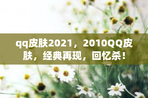 qq皮肤2021，2010QQ皮肤，经典再现，回忆杀！