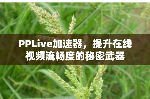 PPLive加速器，提升在线视频流畅度的秘密武器