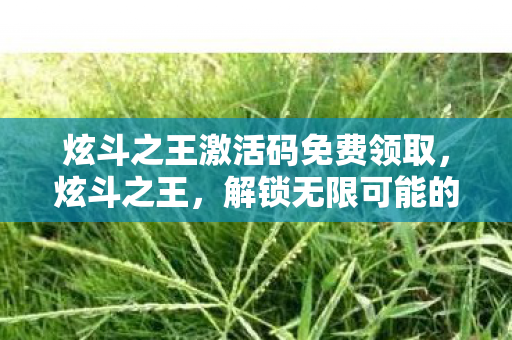炫斗之王激活码免费领取，炫斗之王，解锁无限可能的激活码