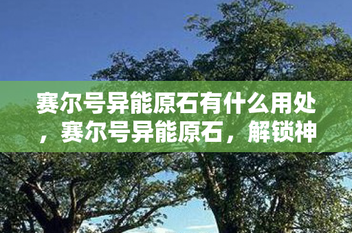 赛尔号异能原石有什么用处，赛尔号异能原石，解锁神秘力量的钥匙