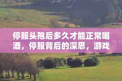 停服头孢后多久才能正常喝酒，停服背后的深思，游戏运营的抉择与玩家情感的平衡