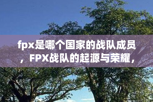 fpx是哪个国家的战队成员，FPX战队的起源与荣耀，中国电竞的璀璨之星