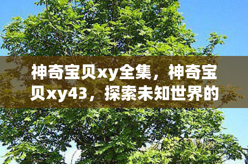 神奇宝贝xy全集，神奇宝贝xy43，探索未知世界的奇幻之旅