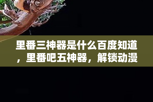 里番三神器是什么百度知道，里番吧五神器，解锁动漫世界的神秘钥匙