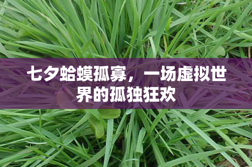 七夕蛤蟆孤寡，一场虚拟世界的孤独狂欢