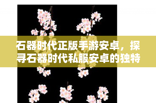 石器时代正版手游安卓，探寻石器时代私服安卓的独特魅力