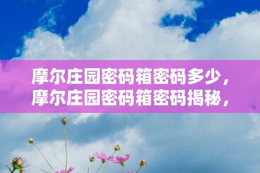 摩尔庄园密码箱密码多少，摩尔庄园密码箱密码揭秘，解锁神秘宝藏的钥匙