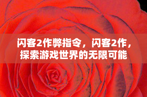 闪客2作弊指令，闪客2作，探索游戏世界的无限可能