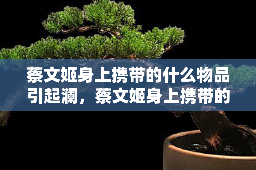 蔡文姬身上携带的什么物品引起澜，蔡文姬身上携带的什么物引起澜